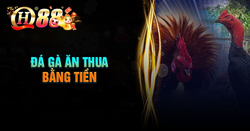 Hỗ trợ đa nền tảng