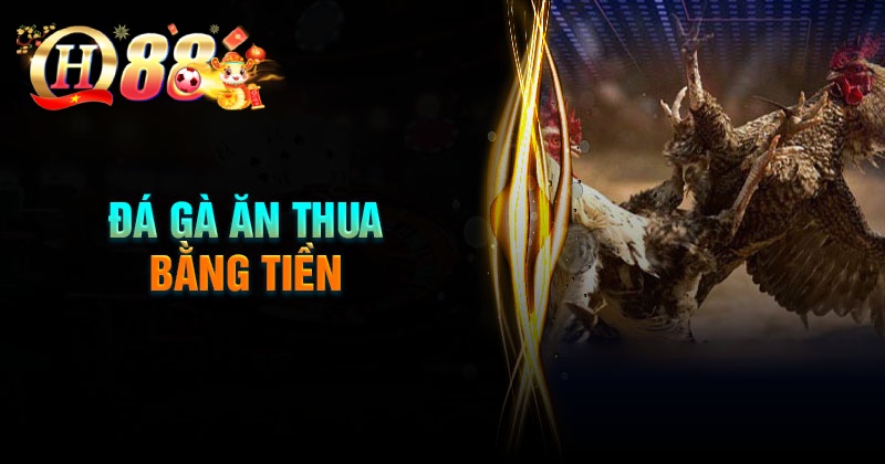 Các loại hình đá gà ăn thua bằng tiền phổ biến