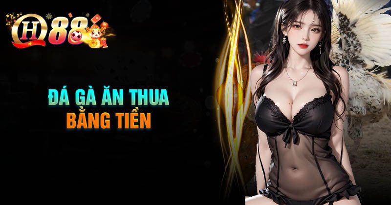 Ưu điểm khi chơi đá gà ăn thua bằng tiền tại nhà cái QH88