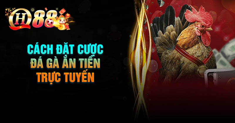 Cách đặt cược đá gà ăn tiền trực tuyến đơn giản